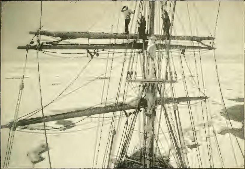 In the ice-pack, from the Main-top of the Terra Nova. (Gran, Taylor and Wright). Dec. 22nd 1910